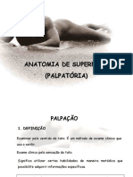 Anatomia Palpatória (PPTshare)