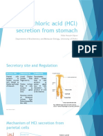 HCL Secretion in Stomach