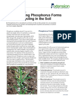 Understanding Phosphorus Forms and Their Cycling in The Soil