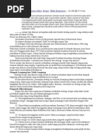 Download budaya _organisasi by Almasier Hanifier Hanifi SN53753229 doc pdf