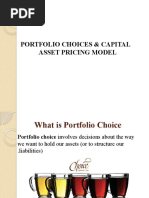 Chapter 4 Portfolio Choices