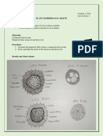 QUISAO Lab Act 4