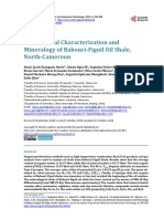 Geochemical Characterization and Mineralogy of Babouri-Figuil Oil Shale, North-Cameroon