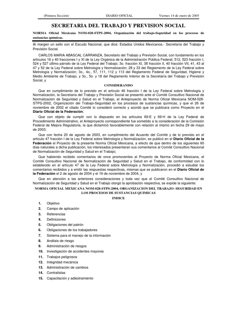 Nom 028 | PDF