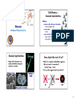 Meiosis PPT Notes