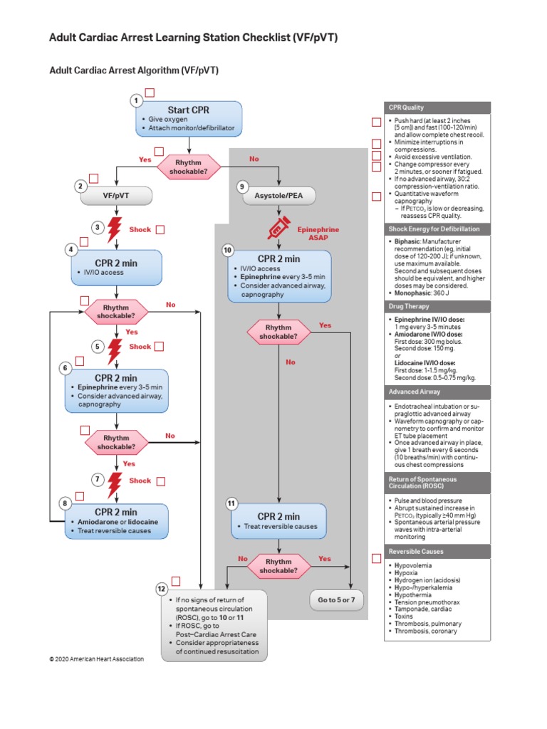 Adult Cardiac Arrest Learning Station Checklist Vf Pvt Pdf Cardiopulmonary Resuscitation Heart