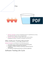 Software Testing Python