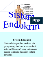 Sistem Endokrin (PJJ)