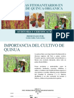 Problemas Fitosanitarios en Cultivo Organico de Quinua