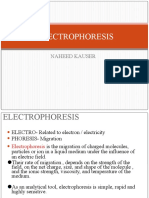 Electrophoresis: Naheed Kauser