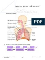 Gas exchange and transport in the human body