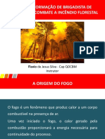 Treinamento de Brigadista de Prevenção e Combate A Incêndio Florestal