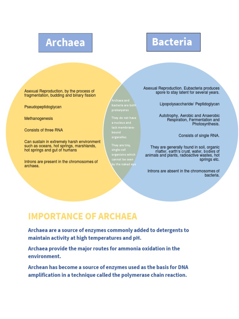 Venn Diagram of Archaea and Bacteria PDF Archaea Bacteria