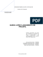 Relatório - Queda Livre e Lançamento de Projétil