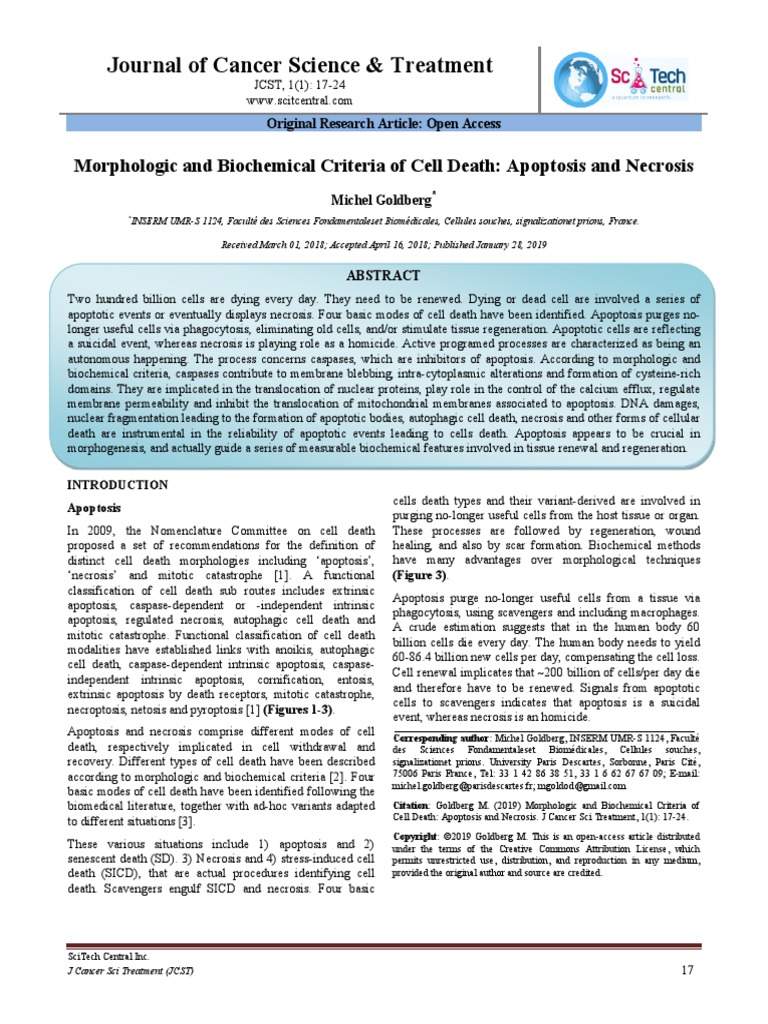 Apoptosis and Necrosis | PDF | Apoptosis | Caspase