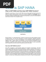 What is SAP HANA