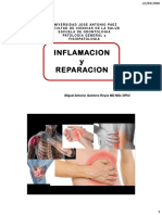 2 Inflamacion y Reparacion 20 PDF 2xh