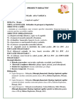 Proiect Didactic Ed. Financiară Ana Vasilica