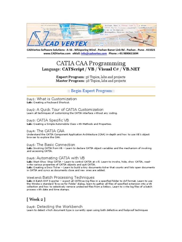 Caa | PDF | Visual Basic For Applications | Microsoft Excel