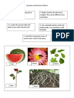 Functions of The Parts of Plants Activity Sheet