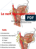 6.2 Le nerf hypoglosse