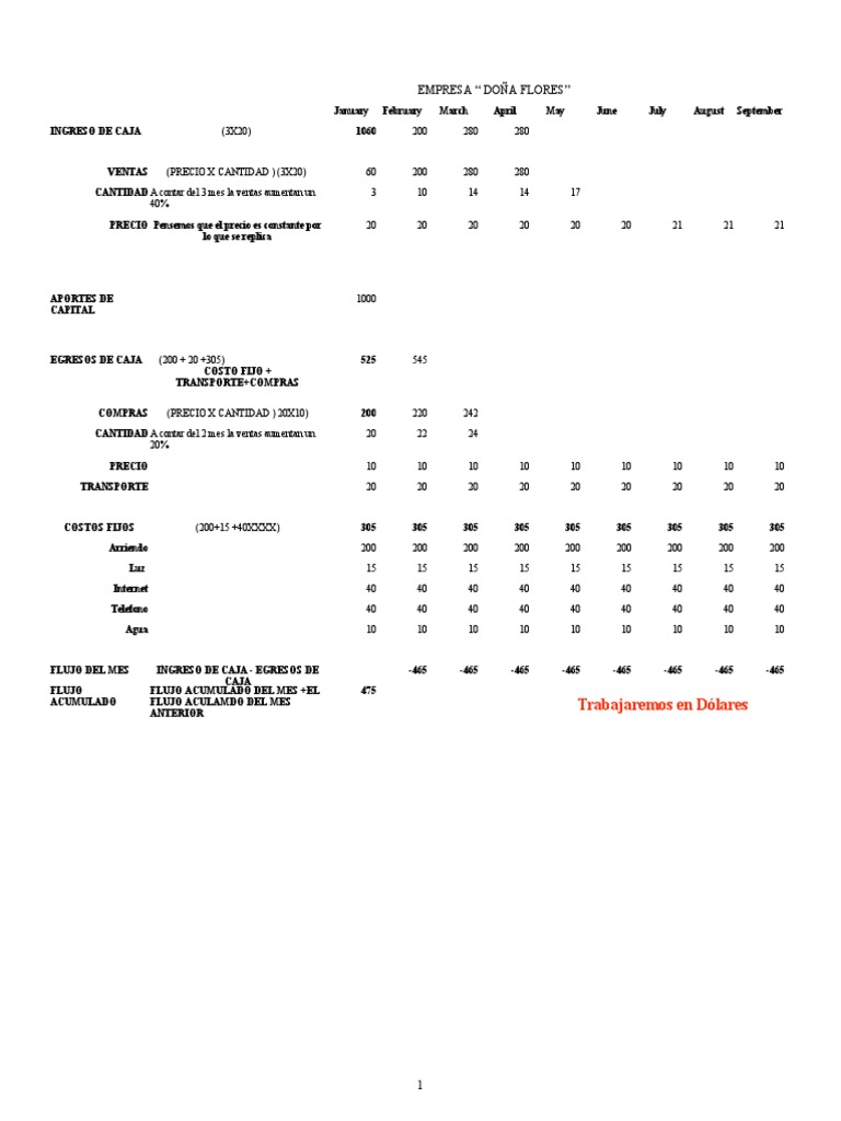 Flujo de Caja EXCEL | PDF | Economias