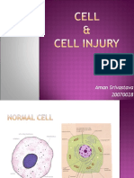 Cell Injury