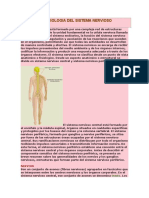 Anatomia y Fisiologia Del Sistema Nervio