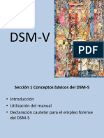 DSM V Conceptos Básicos