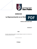 La Representación en El Ámbito Civil Trabajo DALE