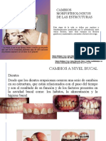 Cambios Morfofisiologicos