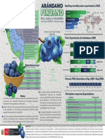 Arándano Peruano Producto de Exportación 2020