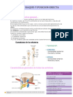 2 - Raquis y Posicion Erecta