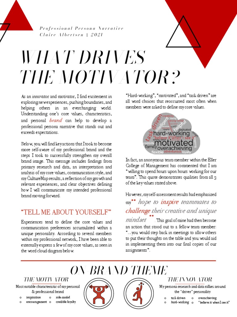 Professional Persona Narrative | PDF | Brand | Communication