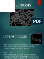 LEPTOSPIROSIS