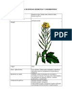 Ficha Tecnica de Especias Aromaticas y Condimentarias