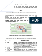 B.2. Bahan Ajar Organ Reproduksi Pada Laki Dan Wanita