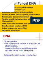 1 - DNA - Gen-Kromosom-Genom-Protein