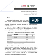 -informativo-epidemiologico-dengue-chik-zika-e-fa-se-40-2021-retificada