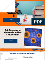 Ciencias Naturales 11