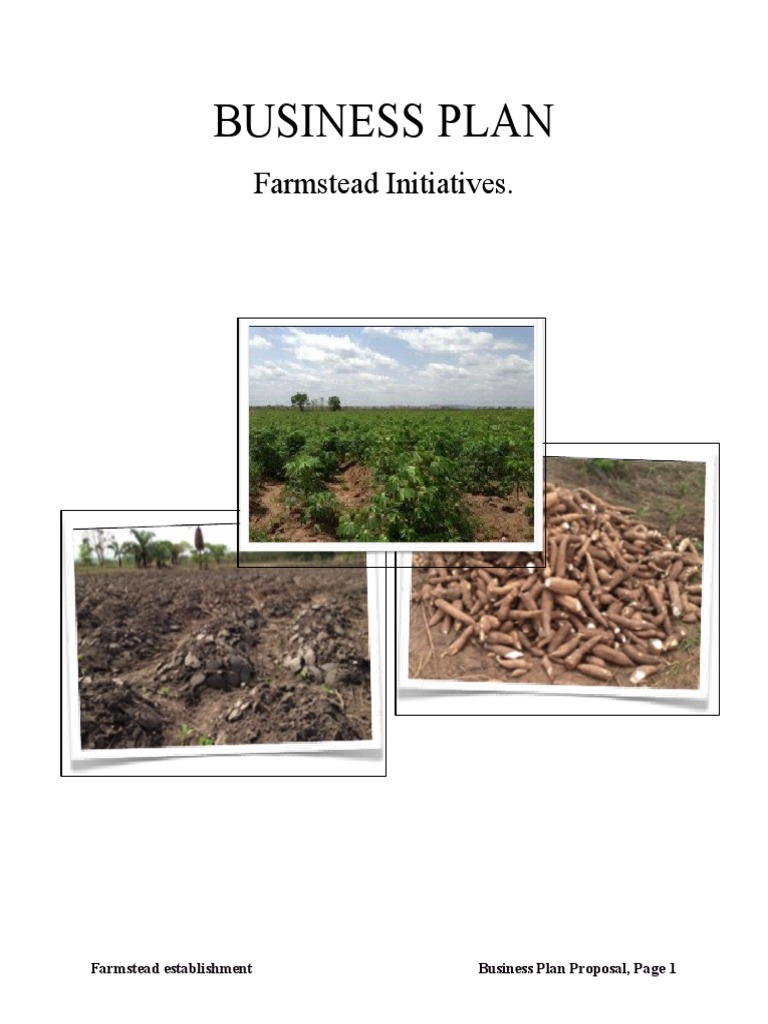 Farmstead Initiatives Business Plan PDF Agriculture Agricultural
