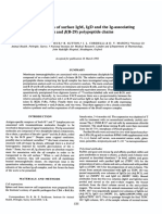 Relative Igd Ig-Associating A (Mb-1) F (B-29) Polypeptide Chains