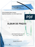 Album Pinzas
