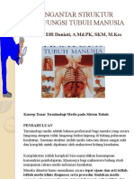 Pengantar Struktur Dan Fungsi Tubuh Manusia
