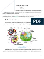 Genetica Curs 2. DIVIZIUNEA CELULARĂ - MITOZA