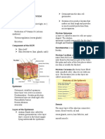 Fuctions of Skin Intergumentary System