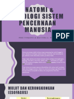 Fisiologi Sistem Pencernaan Manusia