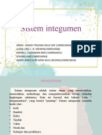 Sistem Integumen