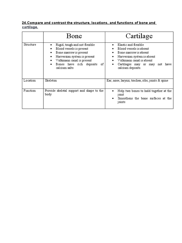 Cartilage Cells Vs Bone Cells The Ultimate Cell Guide - 838x135