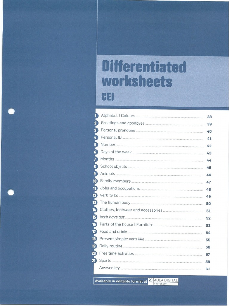 High Five 5 - Differentiated Worksheets CEI | PDF